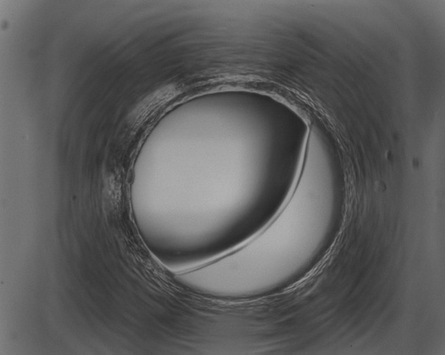 X0000086781257200704130820