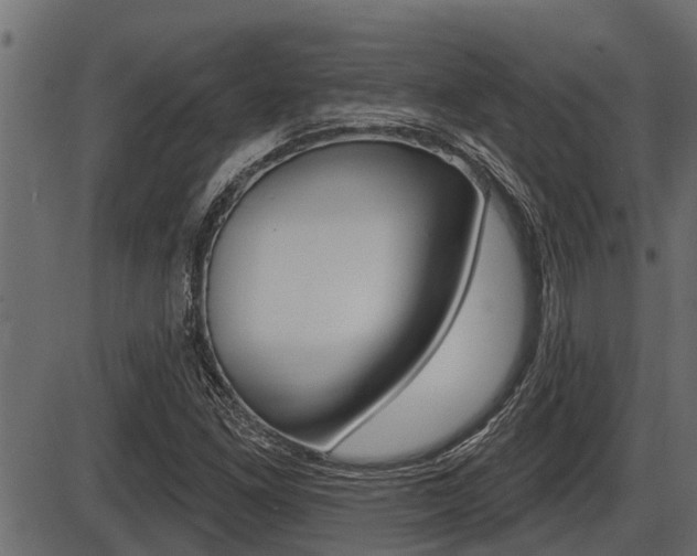 X0000086781261200704130820