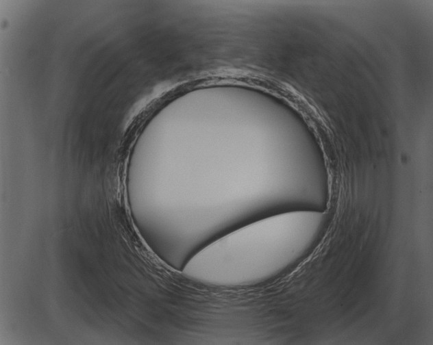 X0000086781262200704130820