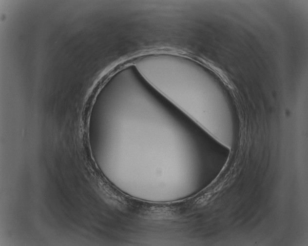 X0000086781264200704130820