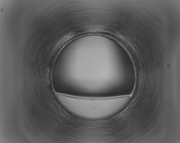 X0000086781265200704130820