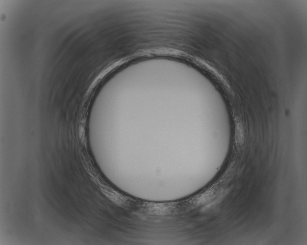 X0000086781266200704130820