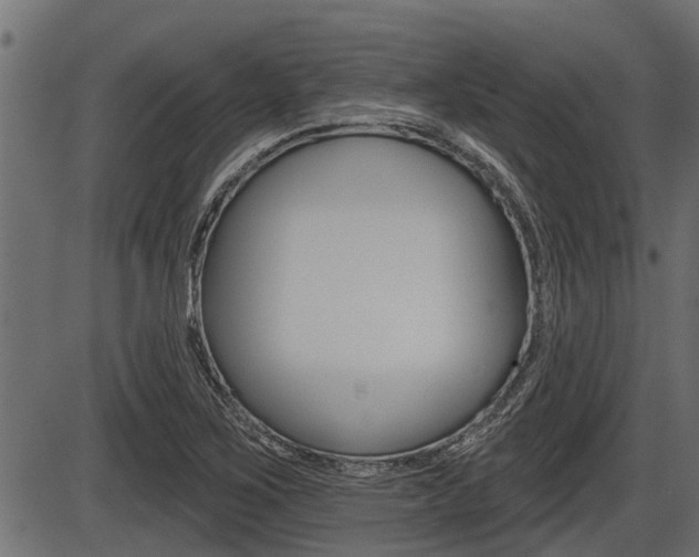X0000086781267200704130820