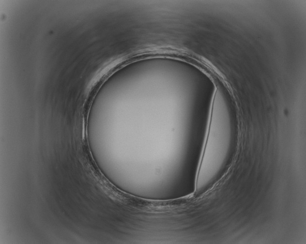 X0000086781269200704130820
