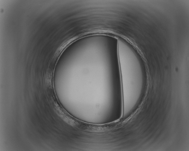 X0000086781273200704130820