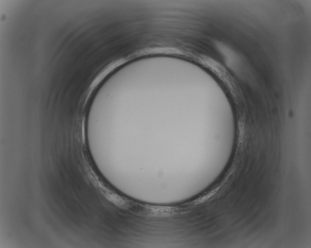 X0000086781274200704130819