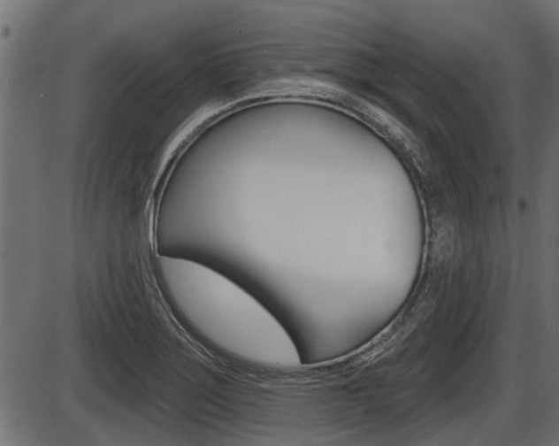 X0000086781275200704130819