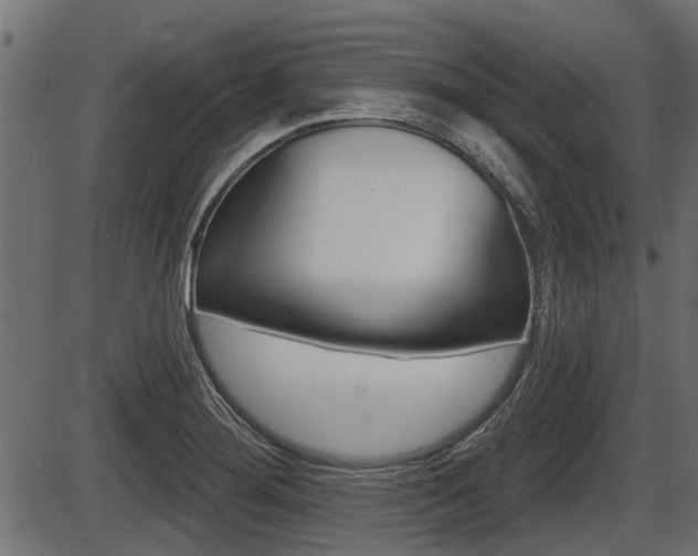 X0000086781276200704130819