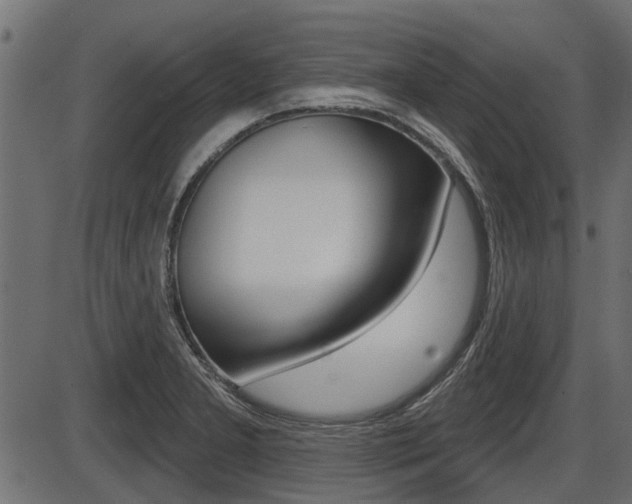 X0000086781277200704130819