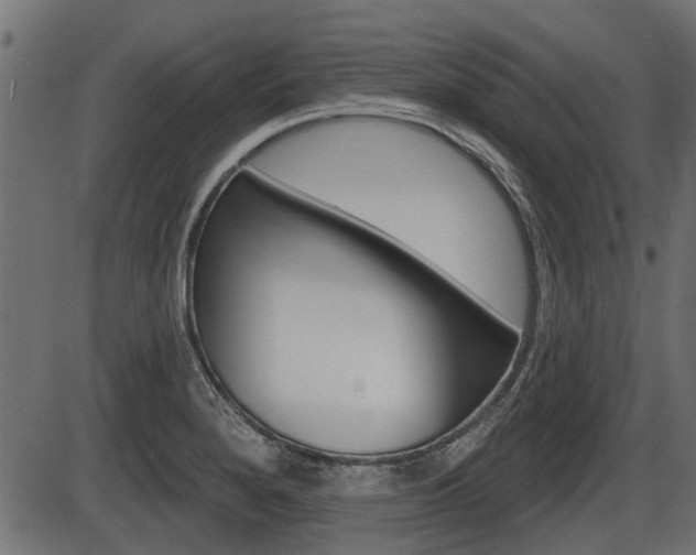 X0000086781280200704130819