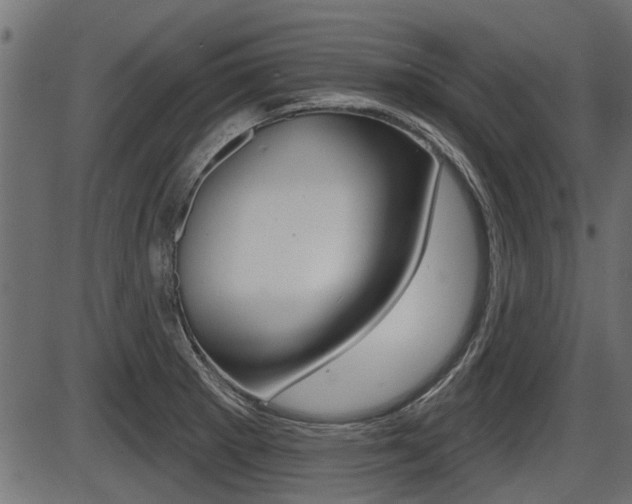 X0000086781281200704130819