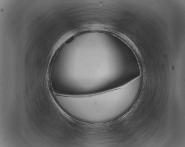 X0000086781285200704130819