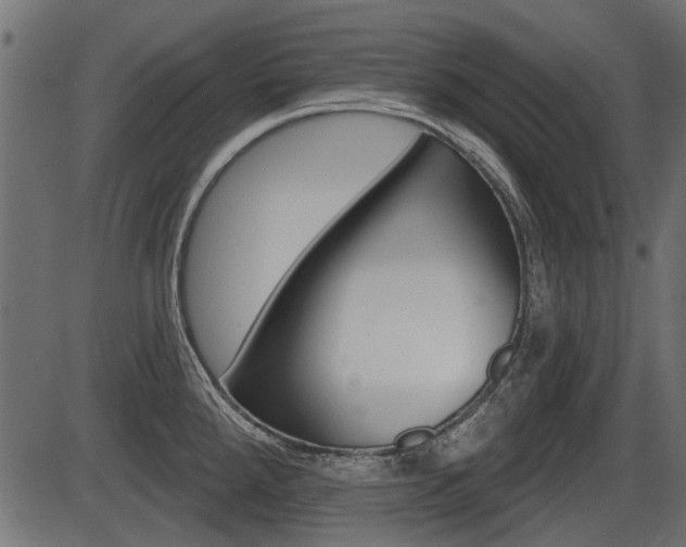 X0000086781288200704130819