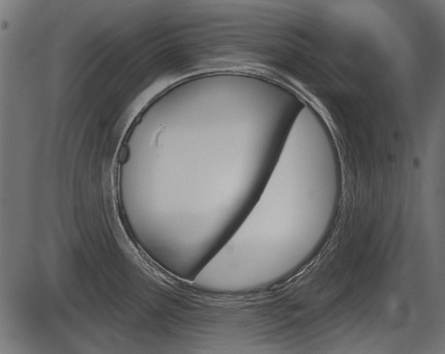 X0000086781291200704130819