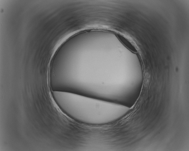 X0000086781295200704130819