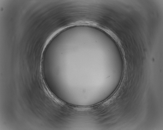 X0000086781296200704130819