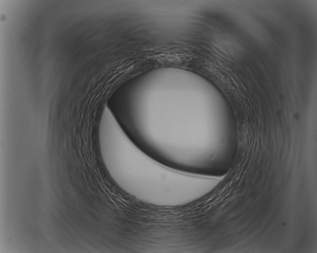 X0000086781297200704130818
