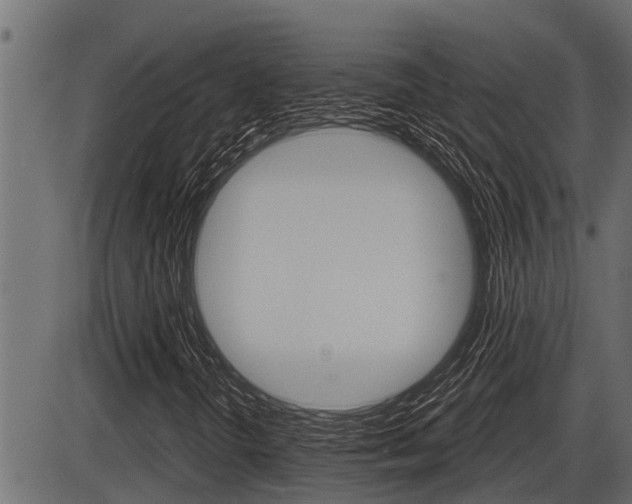 X0000086781298200704130818