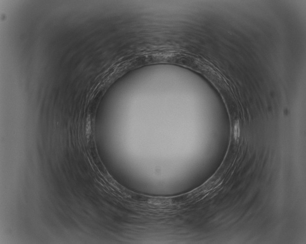 X0000086781299200704130818