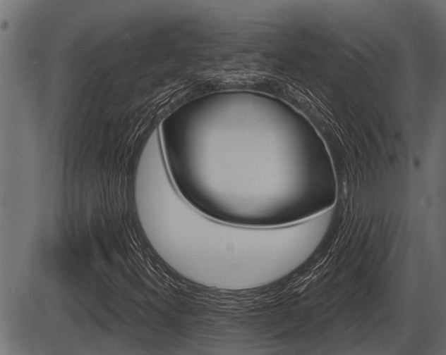 X0000086781300200704130818