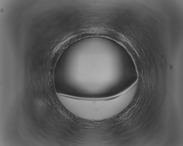 X0000086781304200704130818