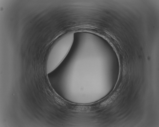 X0000086781305200704130818