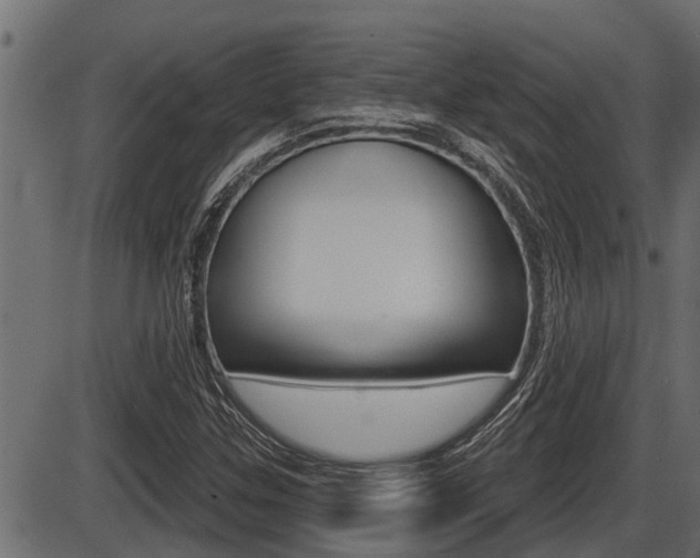 X0000086781307200704130818