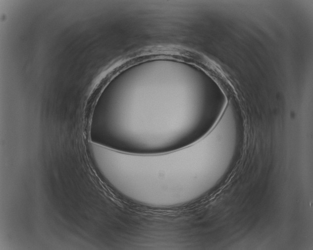X0000086781312200704130819