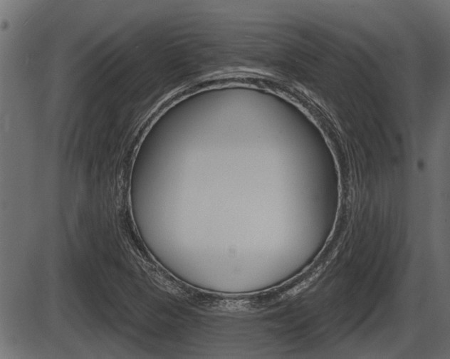 X0000086781313200704130819