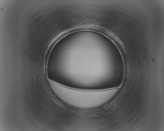 X0000086781316200704130819