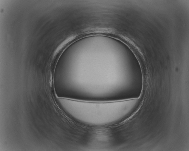 X0000086781317200704130819