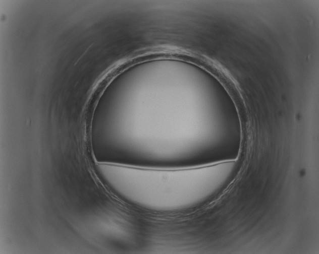 X0000086781318200704130819