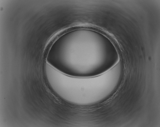 X0000086781319200704130819
