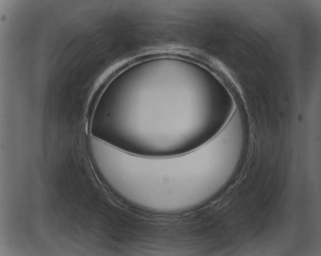 X0000086781320200704130819