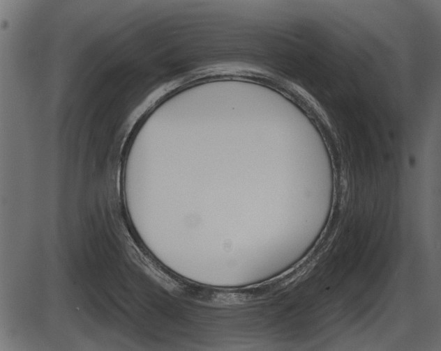 X0000086781322200704130819