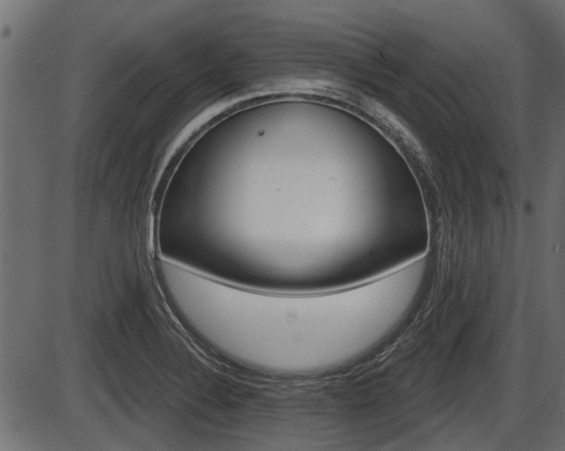 X0000086781324200704130819