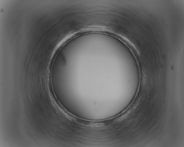 X0000086781325200704130819