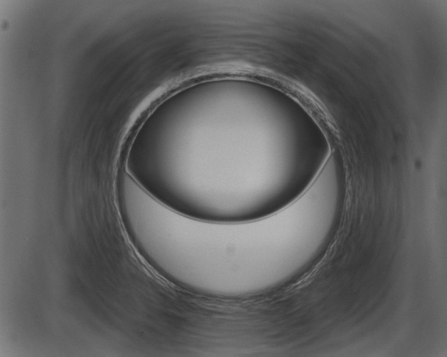 X0000086781326200704130819