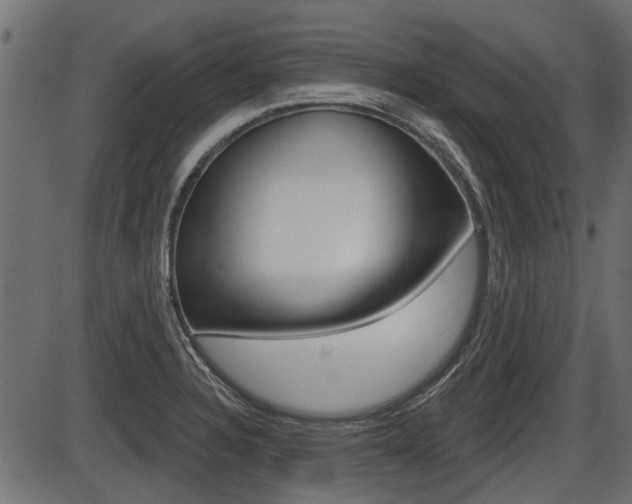 X0000086781328200704130819