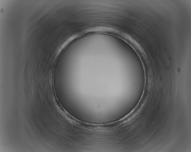 X0000086781329200704130819