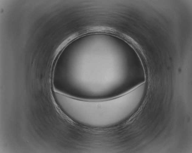 X0000086781330200704130819