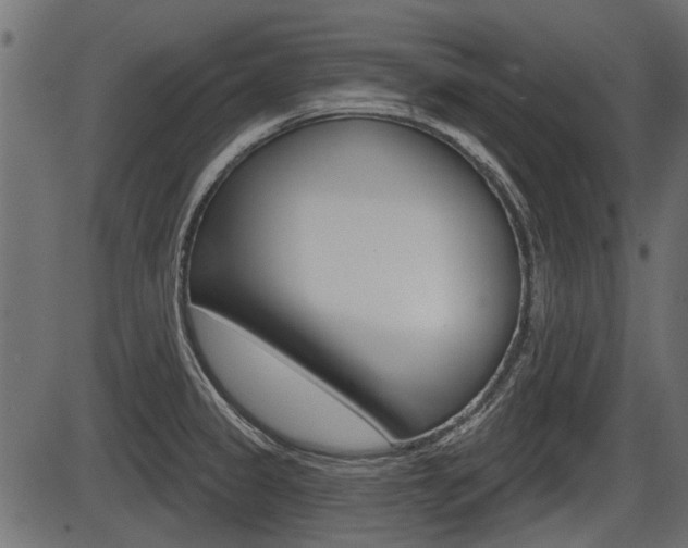 X0000086781333200704130819
