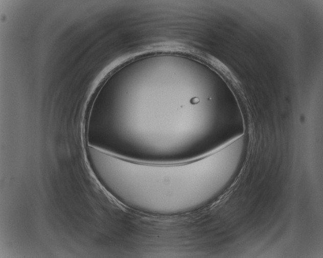 X0000086781334200704130819
