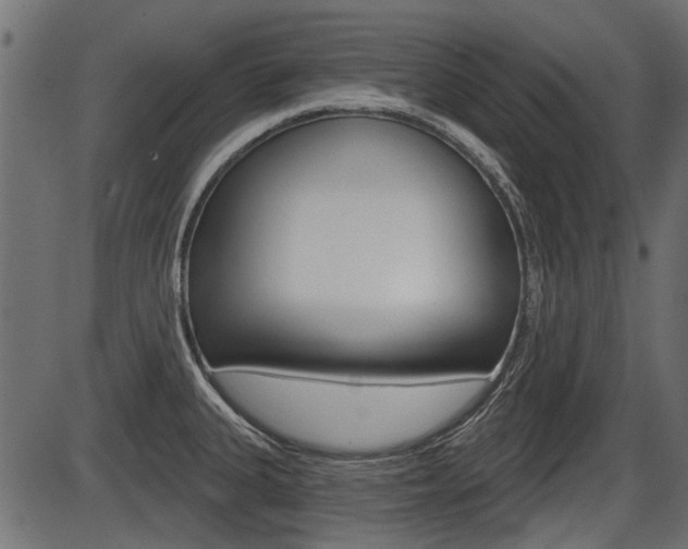 X0000086781335200704130819