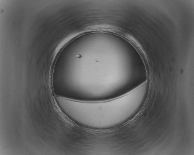 X0000086781336200704130819