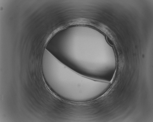 X0000086781337200704130819