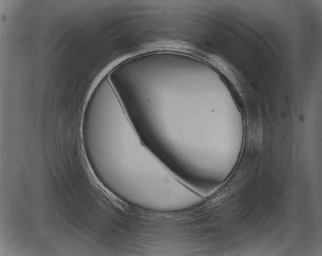 X0000086781339200704130819