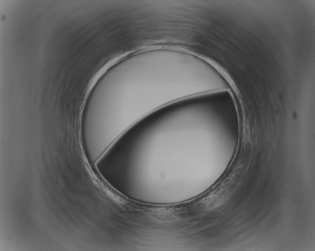 X0000086781341200704130819