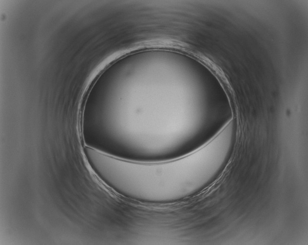 X0000086781342200704130819