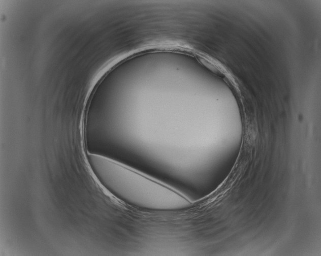 X0000086781343200704130819